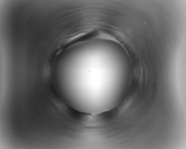 X0000088490092200706051426