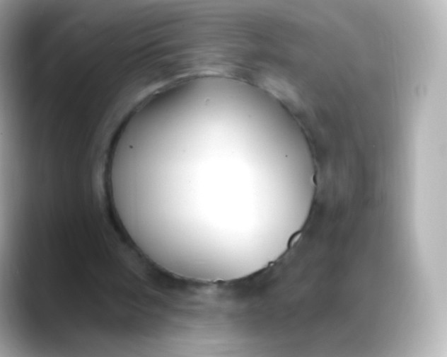 X0000088490098200706051425