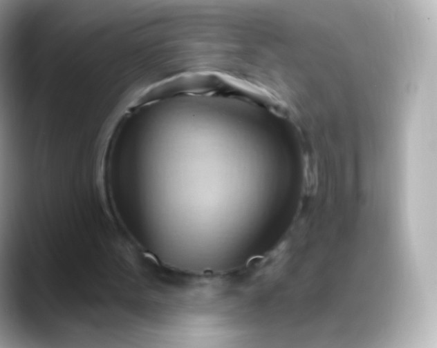 X0000088490099200706051425