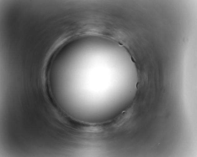 X0000088490102200706051425