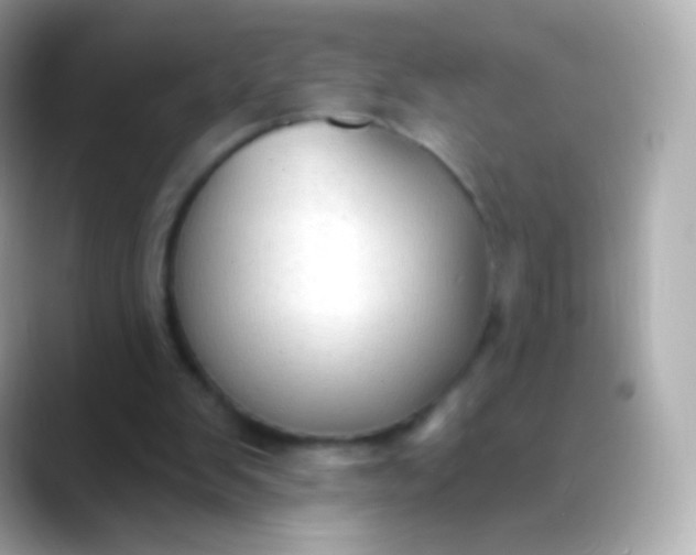 X0000088490103200706051425