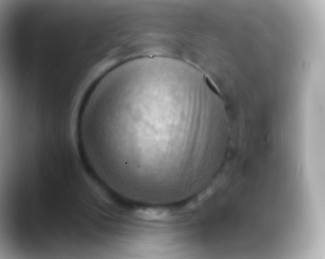 X0000088490104200706051425