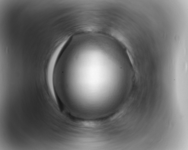 X0000088490105200706051425