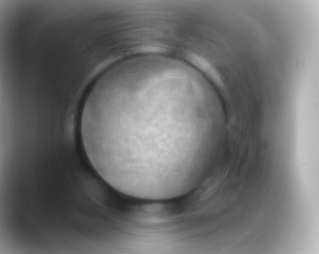 X0000088490108200706051425