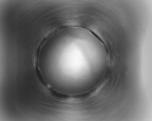 X0000088490109200706051425