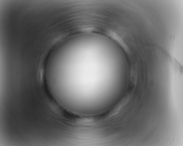 X0000088490110200706051425