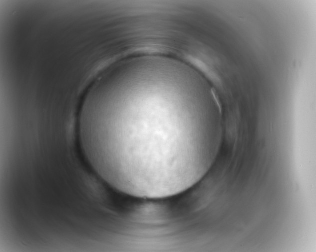 X0000088490111200706051425