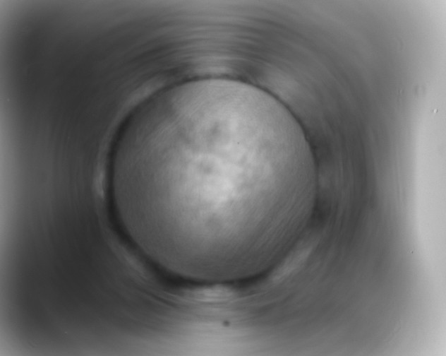 X0000088490112200706051425