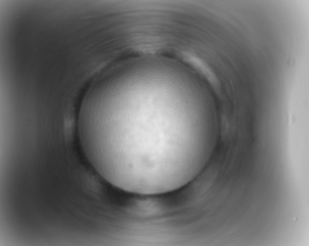 X0000088490113200706051425