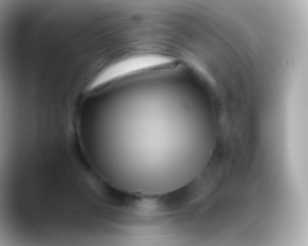 X0000088490114200706051425