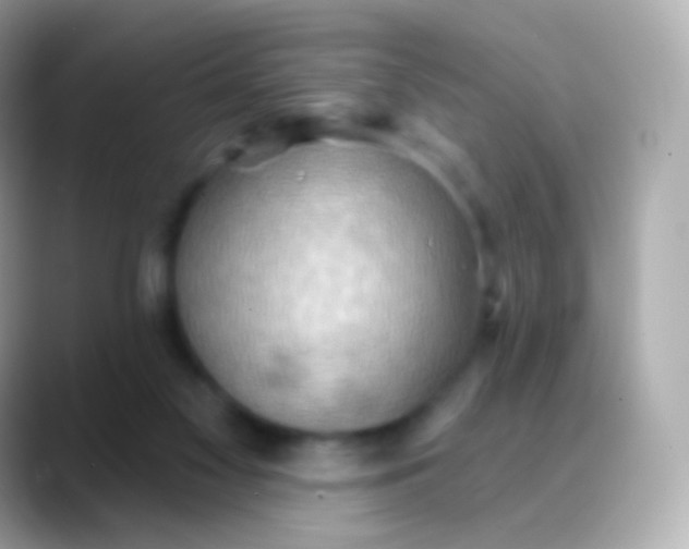 X0000088490117200706051425