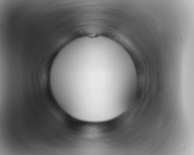 X0000088490120200706051425