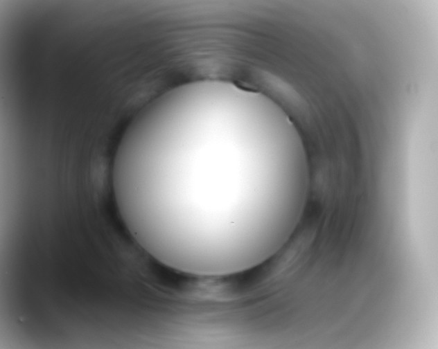 X0000088490121200706051425