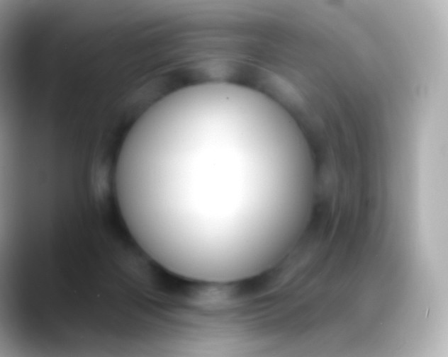 X0000088490122200706051425