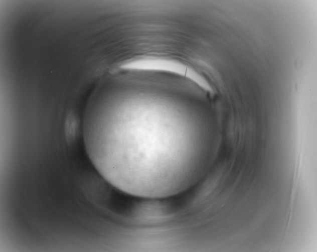 X0000088490123200706051425