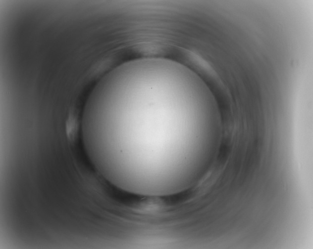 X0000088490124200706051425