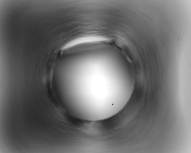 X0000088490125200706051425