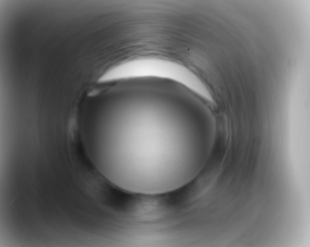 X0000088490127200706051425