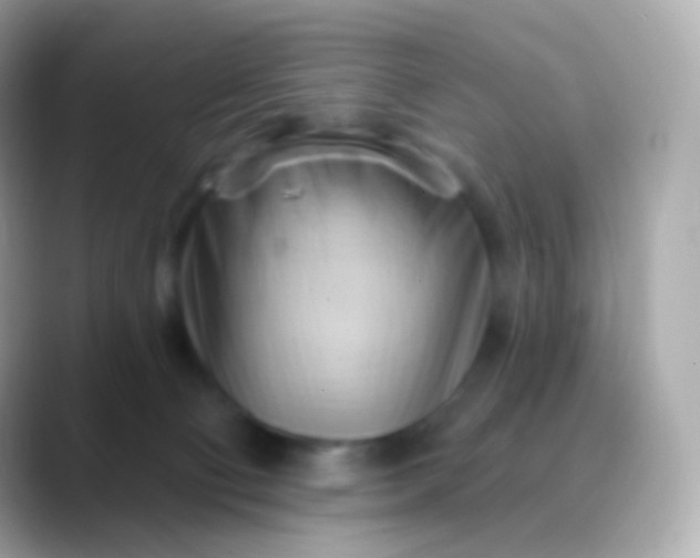 X0000088490130200706051425