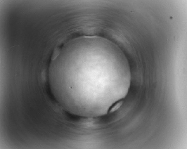 X0000088490131200706051425