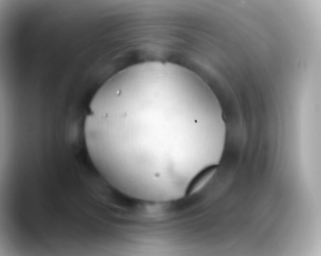 X0000088490134200706051425