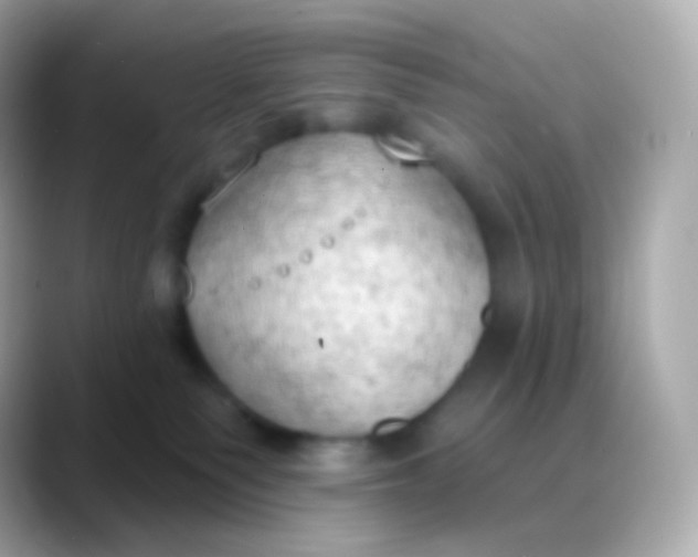 X0000088490135200706051425