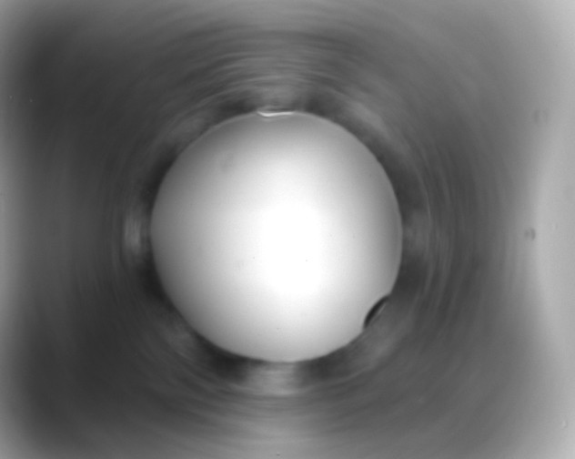 X0000088490138200706051425