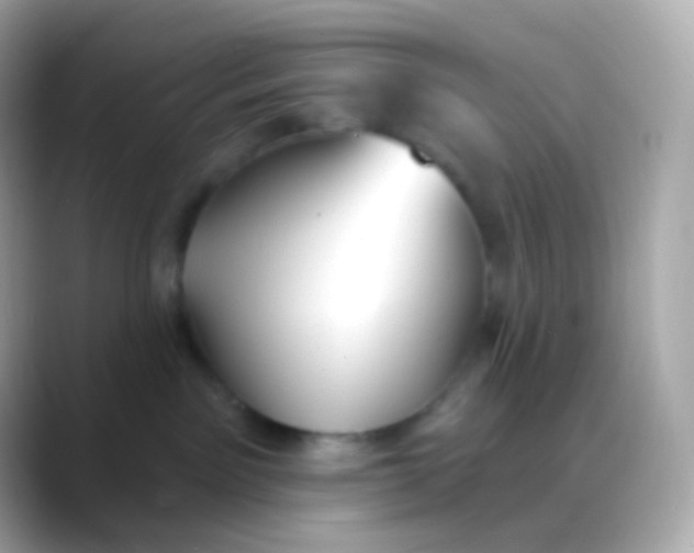 X0000088490141200706051425