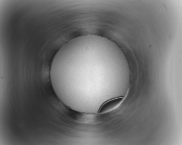 X0000088490144200706051425