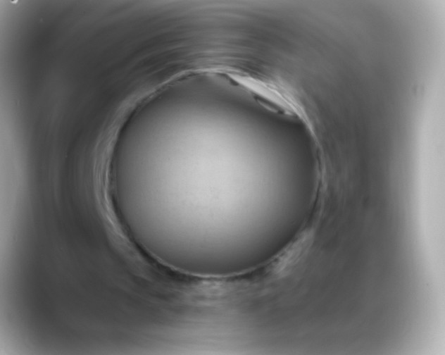 X0000088490145200706051424