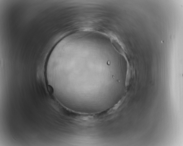 X0000088490147200706051424