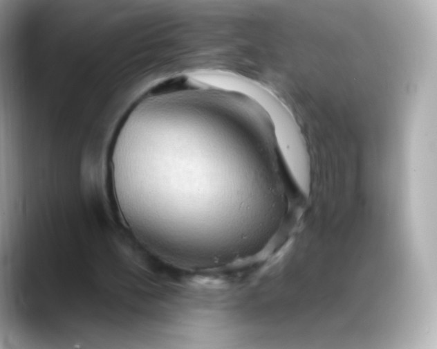 X0000088490148200706051424