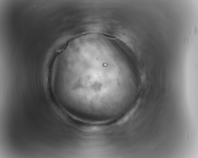 X0000088490149200706051424