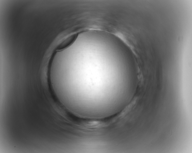 X0000088490151200706051424