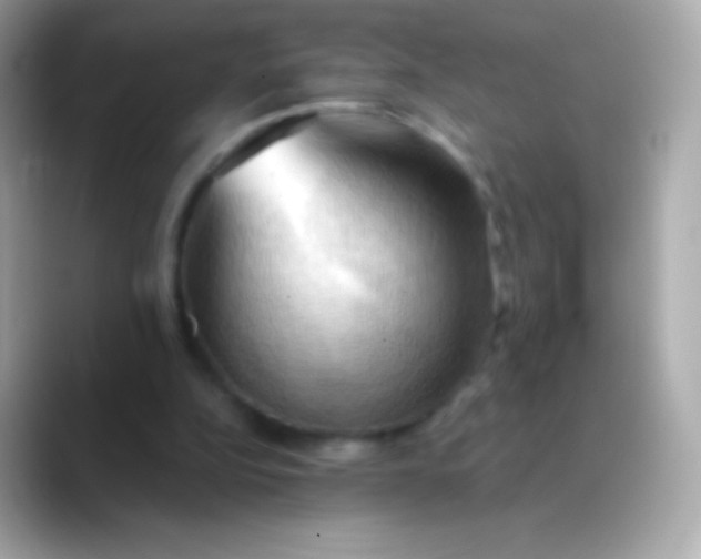 X0000088490152200706051424