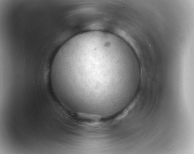 X0000088490153200706051424