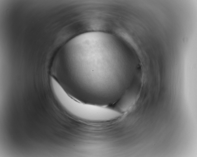 X0000088490154200706051424