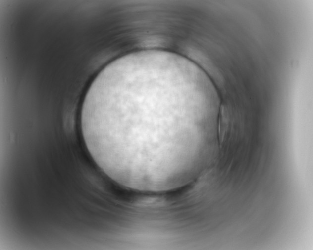 X0000088490155200706051424