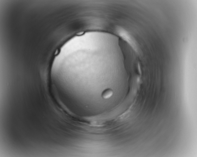 X0000088490156200706051424