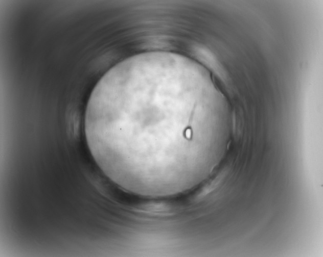 X0000088490157200706051424