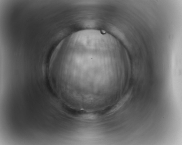 X0000088490161200706051424