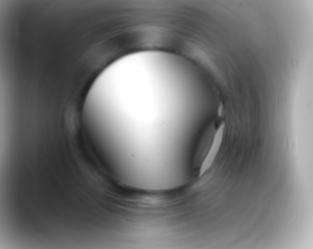 X0000088490164200706051424