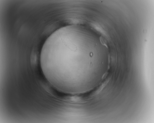 X0000088490165200706051424