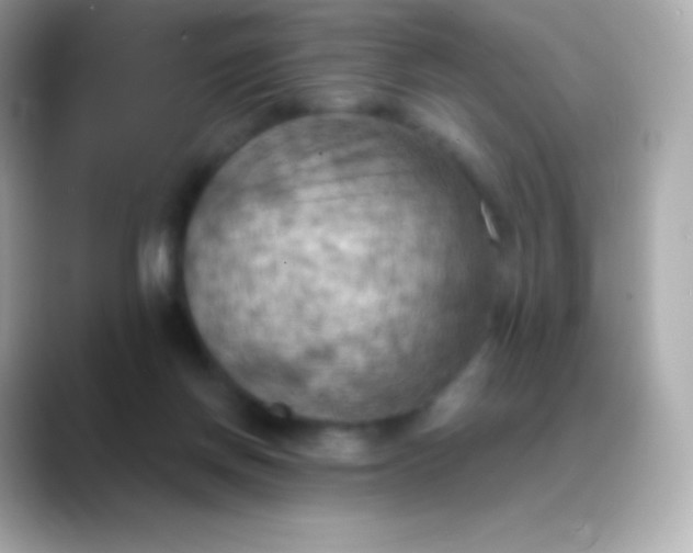 X0000088490166200706051424