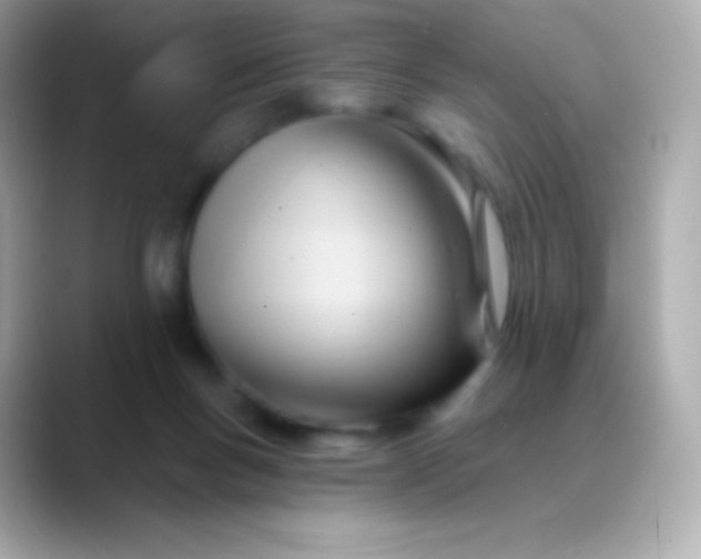 X0000088490167200706051424