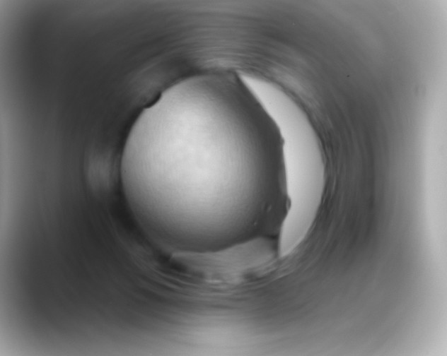 X0000088490168200706051424