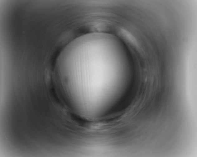 X0000088490169200706051425