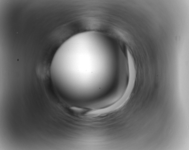 X0000088490172200706051425