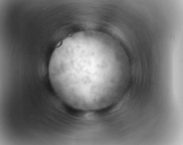 X0000088490173200706051425