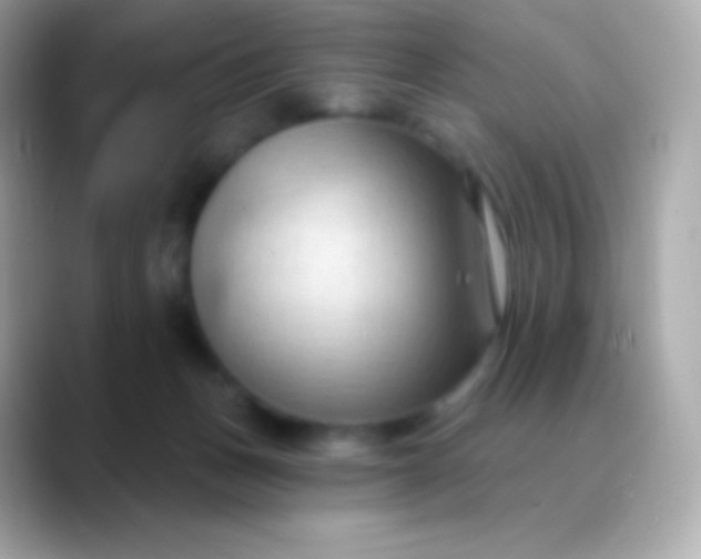 X0000088490175200706051425